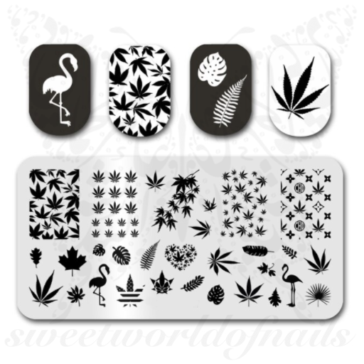 Hash Leaves Nail Art Stamping Plate