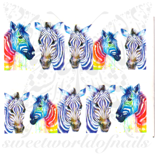Zebra nail art full wraps