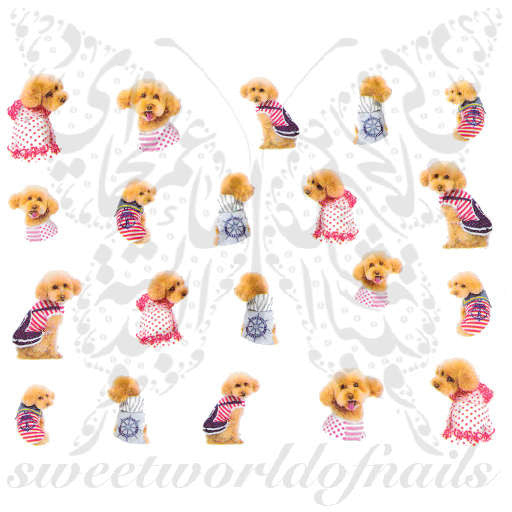 Dog Nail Art bichon frise poodle Nail Water Decals Transfers Wraps