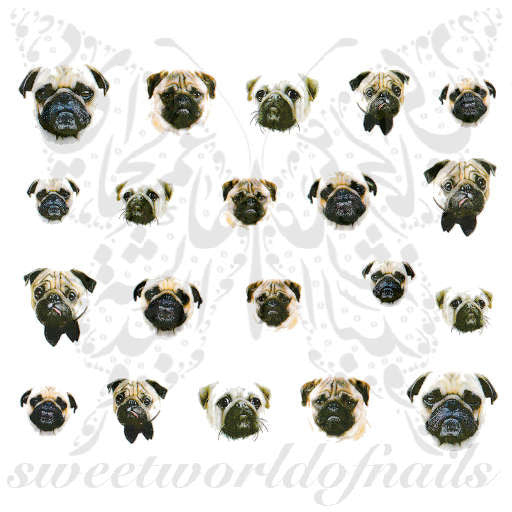 Bulldog Nail Water Decals Transfers Wraps