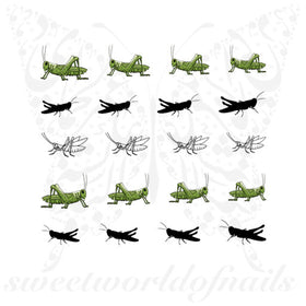 Grasshopper Nail Art Nail water Decals