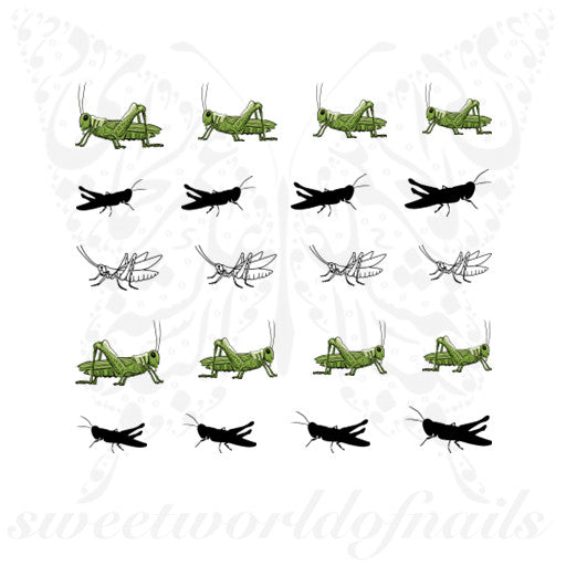 Grasshopper Nail Art Nail water Decals