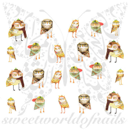 Owls with Glasses Nail Art Nail Water Decals Water Slides