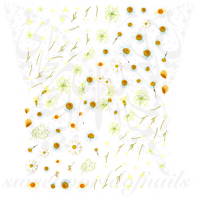 Daisy Nail Art Spring Summer Flower Stickers
