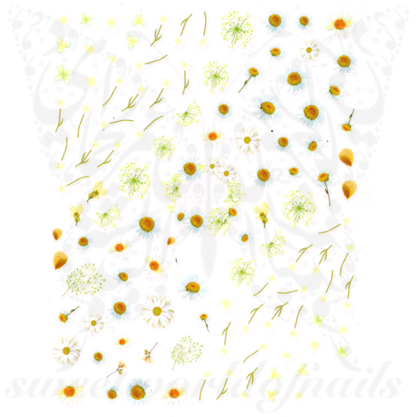 Daisy Nail Art Spring Summer Flower Stickers