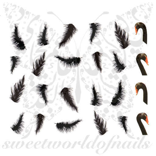 Swan Nail Art Swan Feathers Nail Water Decals Water Slides