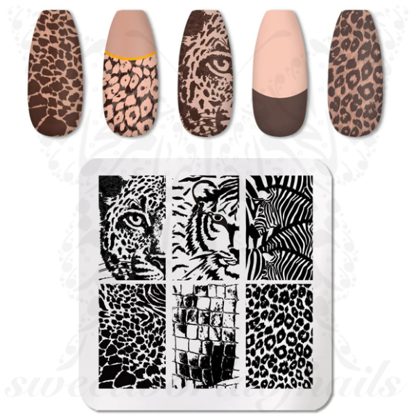 Nail Art Plate Stainless Steel Design Stamp Template
