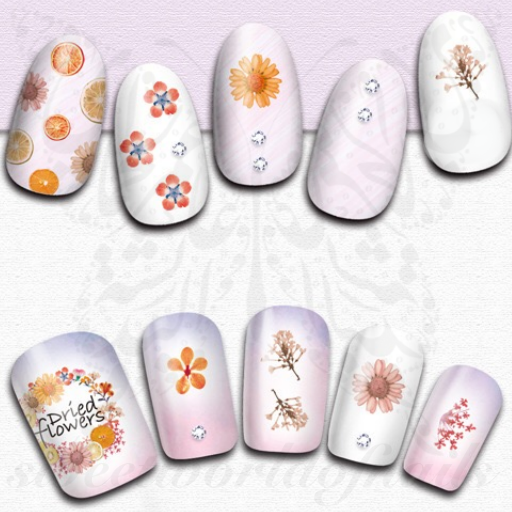 Autumn Nails Dried Flowers and Fruits Stickers