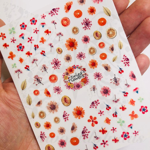 Autumn Nails Dried Flowers and Fruits Stickers 