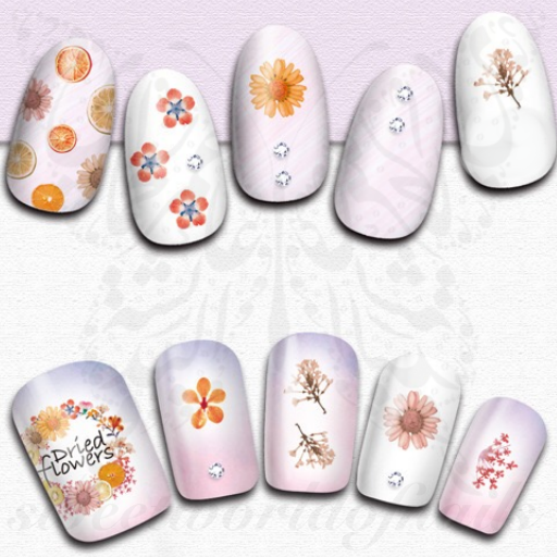Autumn Nails Dried Flowers and Fruits Stickers 